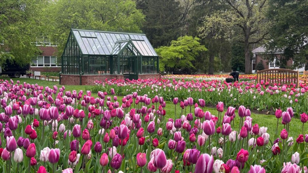 Garden at Elm Bank in Wellesley MA opens for 2026 season