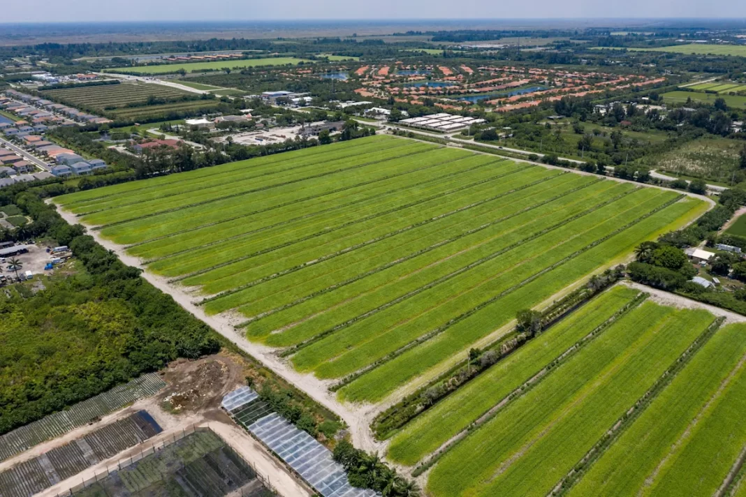 Costco in Ag Reserve is dead. Builder focuses on housing, apartments