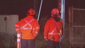 Trains between Boston and Kingston cancelled after large debris falls on Rhode Island tracks