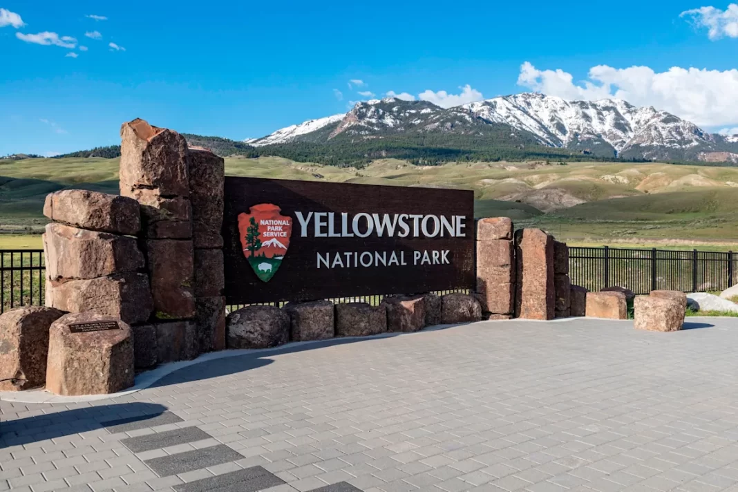Bear attack injures two hikers in Yellowstone National Park