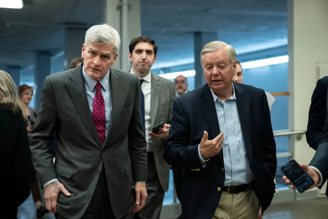 Lindsey Graham says Bill Cassidy lost his primary because he ‘tried to destroy’ the president