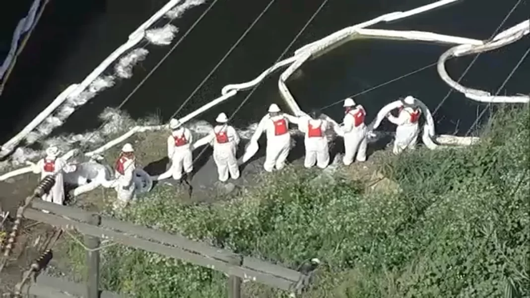 Cleanup continues after 2,400 gallons of oil spill and spread into LA River, impacting wildlife