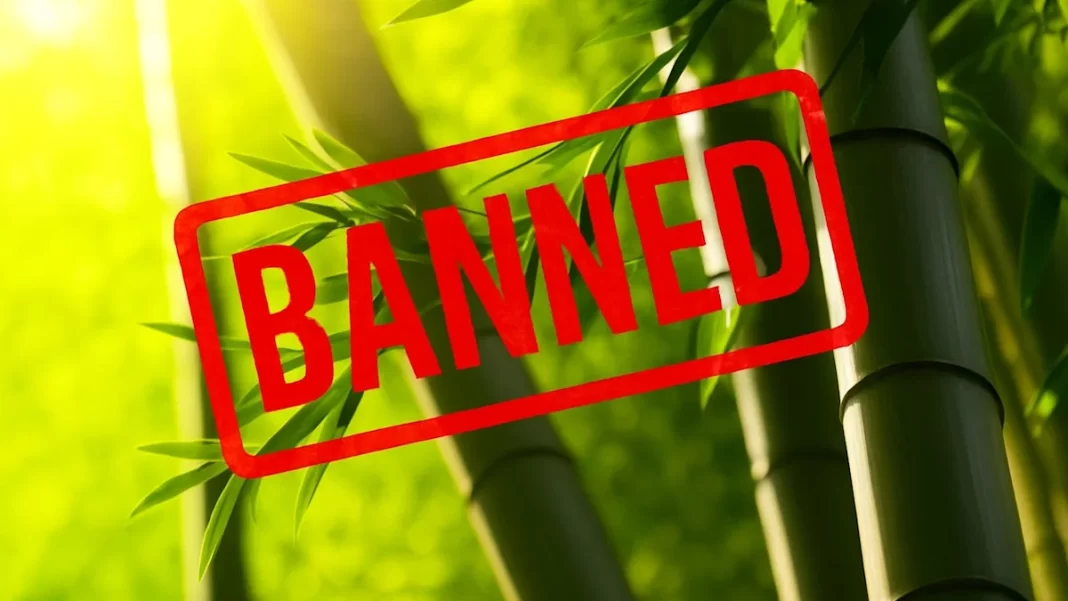 One year after banning bamboo, this N.J. town is already having second thoughts. Here’s why.