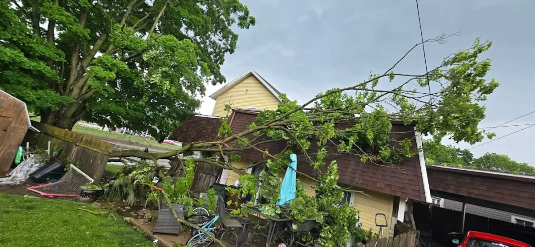 Storms with strong winds, heavy rain damage trees, roofs across Miami Valley