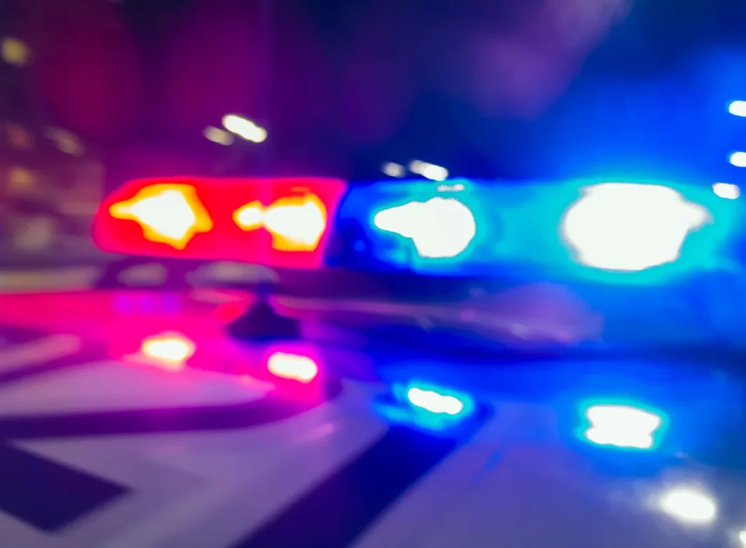 No arrest made yet after baby found dead at Electric Forest festival, MSP says
