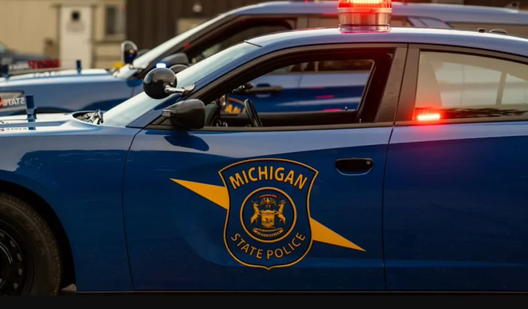 Pedestrian hit by vehicle on Davison Freeway dies