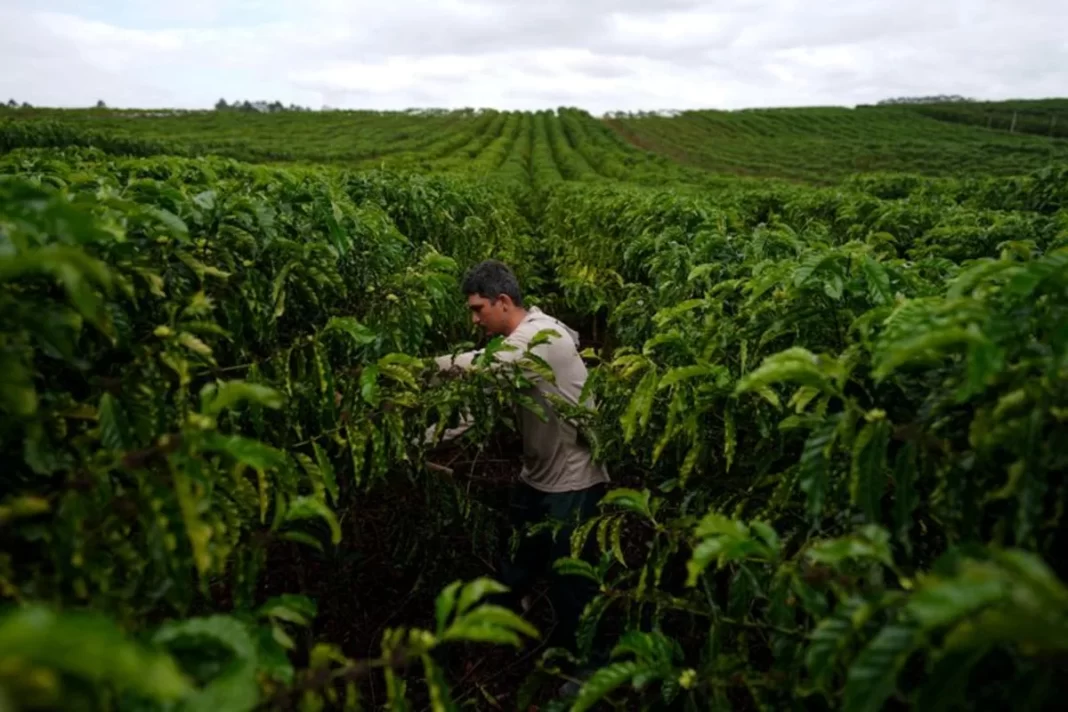 Around 2,000 Brazilian products exempt from both recent U.S. tariffs, minister says