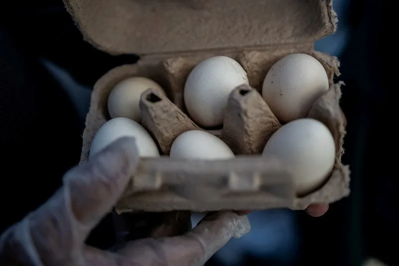 Poultry firm recalls nearly 1.6 million dozen eggs over potential salmonella, US FDA says