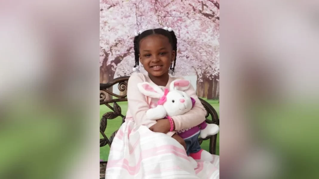 Birth mother plans to sue Suffolk County, school district over 7-year-old girl’s alleged abuse death