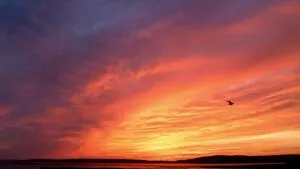Flagler County seeks sunset photos for 2027 state calendar