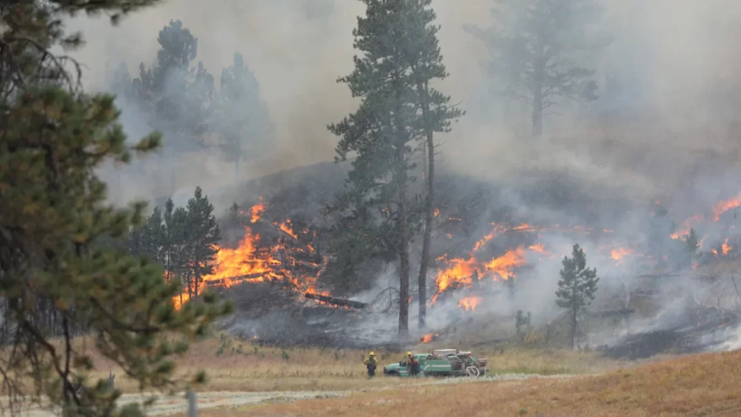 Fire Season 2026 Is Already Shaping Up to Be Highly Active, With Numerous Parks Under Fire Restrictions