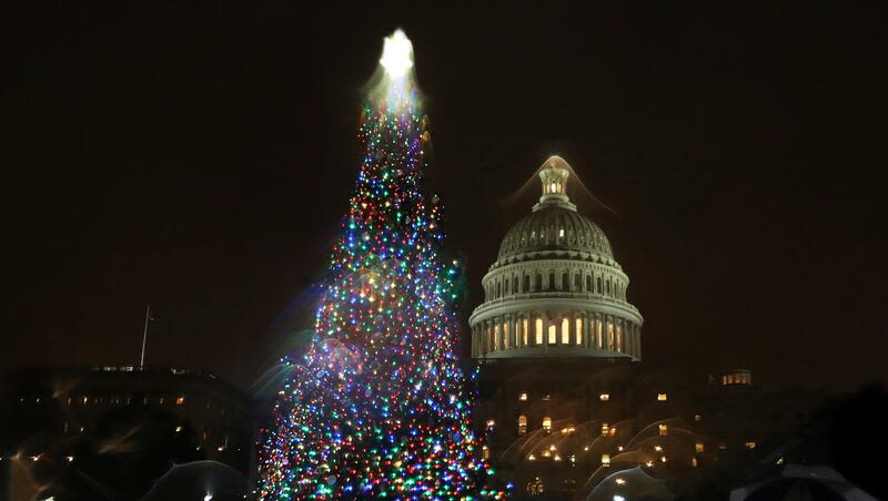 Why a tree in Idaho will be a ‘BIG gift’ to the nation this year