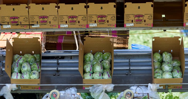US widens lettuce-related cyclosporiasis probe to 20 states