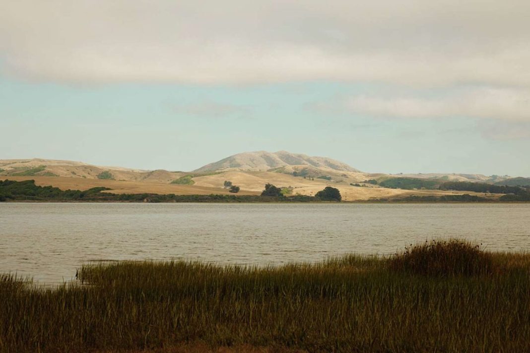 Two found dead near Marin County beach after canoe trip to see bioluminescence